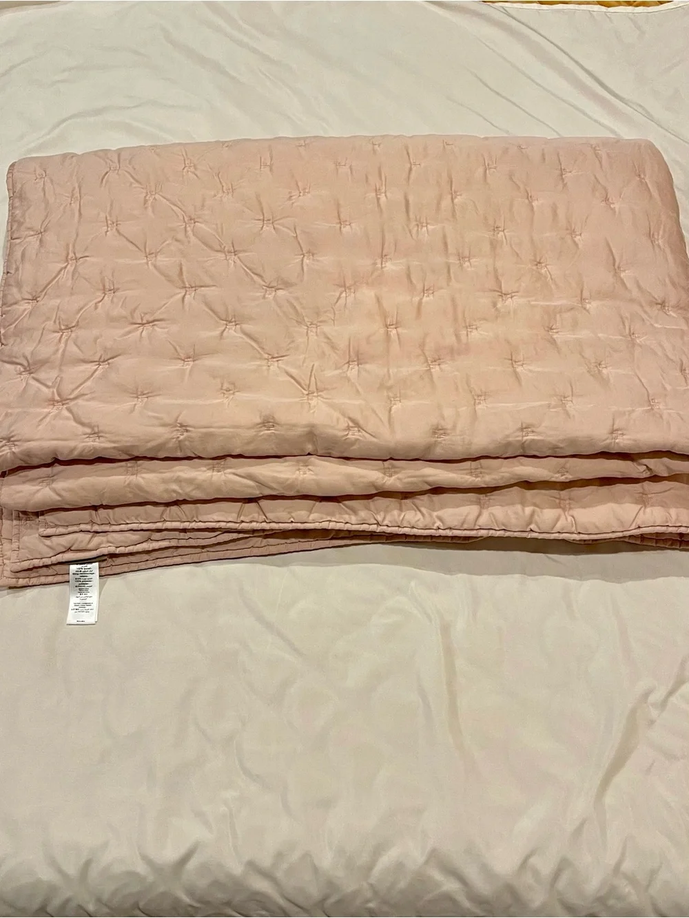 Pottery Barn Teen Soft Rose Amelia Tencel Twin Quilt & Standard Sham